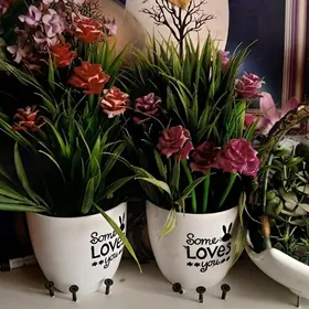 ГОРШОКЛЫ. ГУЛЛЕР