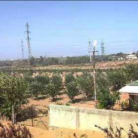 Anew Onumcilik yer  GYSSAGLY