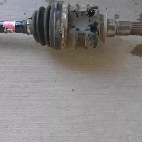 taýota granat babyçka