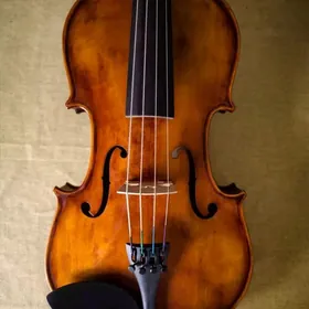 alt taze 15 - 16 chen