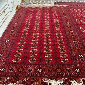 Gyzlarbadyn El halysy