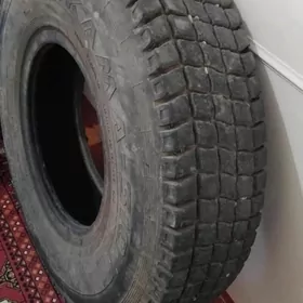 12.00.20 teker kamyr filipr