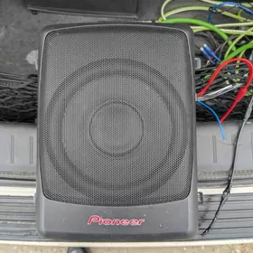 sabbufer podsidenya pioner