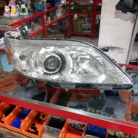 Sienna fara Morda 10 20