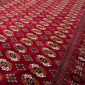 El haly 3/4.10 gyzlarbat.