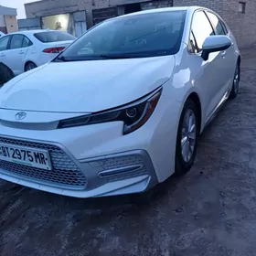 Toyota Corolla 2020
