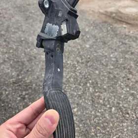 okuz kelle Gaz pedal