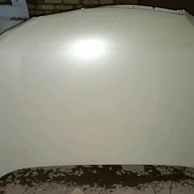 prada kapot 10-16 madel