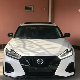 Nissan Maxima 2019