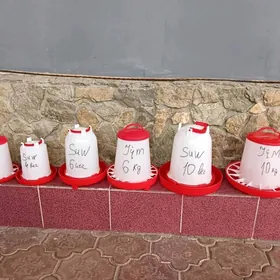 Suw,Iým gap Eýran önümi optom