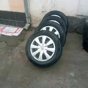 karolla 15lik diska pakyrysga