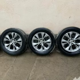 diska highlander xle