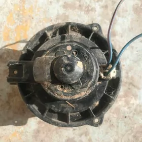 tayota pecka wentelyator