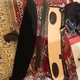 zanewesika polka arasaja