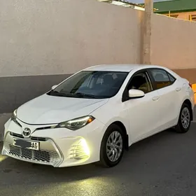 Toyota Corolla 2019