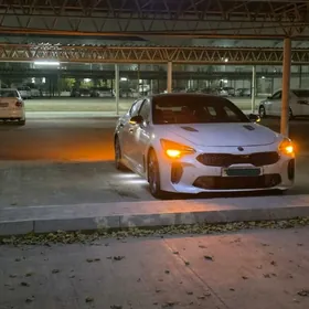 Kia Stinger 2018