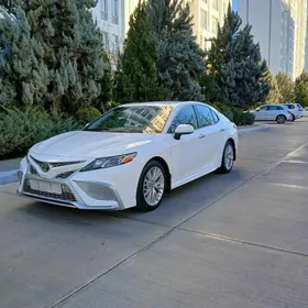 Toyota Camry 2019
