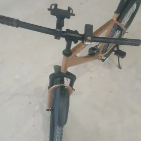 TÜRKMENİSTAN TİGİR