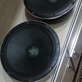 Arnold M61ac kalonka