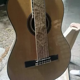 Gitara