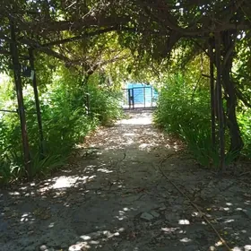 АННАУ ПЛАНОВЫЙ ДОМ 6 СОТОК