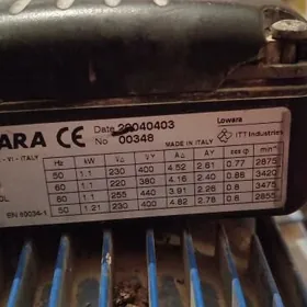 Italyanskiy nasos LOWARA