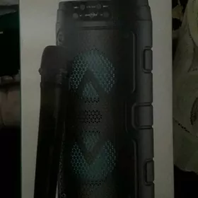 Калонка с микрофоном