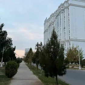 Elitka Moskowsky 3 komnat