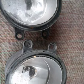 palta  kemiri tumalnik