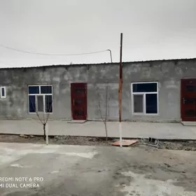 buzmeyin kruk arenda