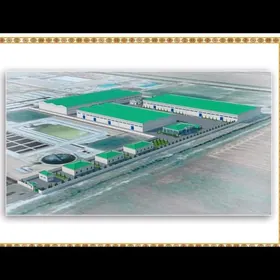 Яшлык 5 гектаров