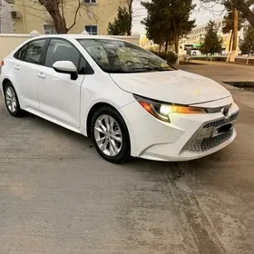 Toyota Corolla 2019