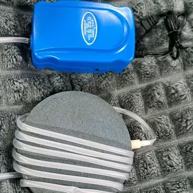 воздух для рыб