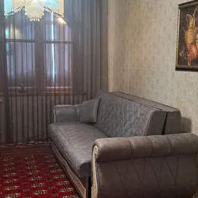 з комнатная химик мкрн