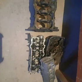 2 lik Tayota Carona Galofka