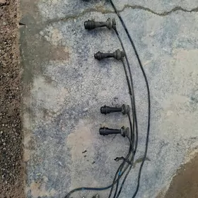 mark sveç pravoda 2,5 prasdoy