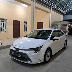 Toyota Corolla 2021