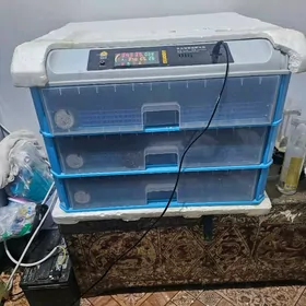 Inkubator 300 ýumurtgalyk.