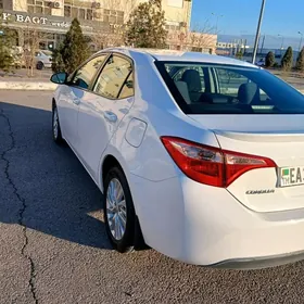 Toyota Corolla 2019