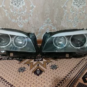 argynal adaptiwny fara