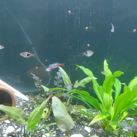 заводской аквариум akvarium