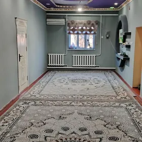 Satlyk plan jay Durdygylyc gen