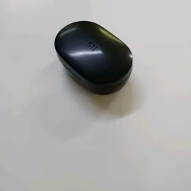 MI NAUSNIK BEZPRAWADNOY ORGNL