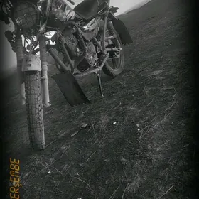 Fekon FK200-14G 2025