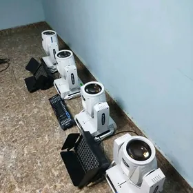 Toy cyralary kafe beam 230 dj