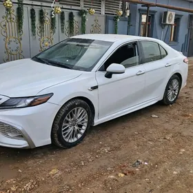 Toyota Camry 2020