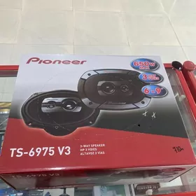 pionner kalonka nikel