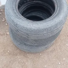 pakrişga.tramblyor.babina