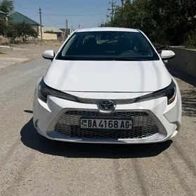 Toyota Corolla 2021