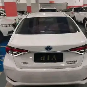 Toyota Corolla 2023